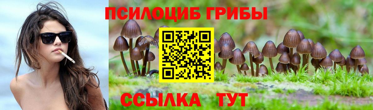 Галлюциногенные грибы прущие грибы  Вход с VPN  Арсеньев 